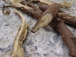 Корень солодки Licorice root